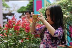 Dân Sài Gòn kéo nhau vào hội hoa xuân chụp hình 'tự sướng' ngày cận tết
