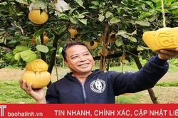 Mê mẩn bưởi hồ lô, bưởi thỏi bạc tạo hình tài - lộc của nông dân Hà Tĩnh