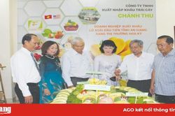 Xuất khẩu xoài ra thị trường thế giới