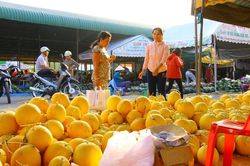 Nông dân phấn khởi vì dưa hấu bán được giá