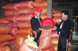 Thôn giàu trên đỉnh núi