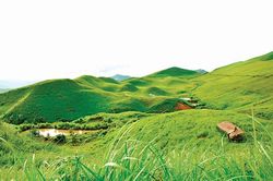 Mênh mang đồng cỏ Huổi Luông