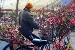 Bắc bộ hửng nắng ấm ngày 28 Tết