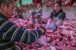 Dân Trung Quốc phập phồng đón Tết: 17 người chết vì virus corona, khủng hoảng thịt lợn chưa có lối thoát
