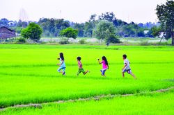 Truyện cười: Nỗi niềm trẻ thơ