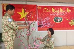 Tết 'đặc biệt' của các chiến sĩ quân y mũ nồi xanh
