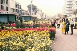 Cực độc chợ hoa Tết Sài Gòn 1971 qua ảnh của người Mỹ