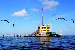 Nước mắt của người vợ lấy chồng bộ đội dịp Tết về
