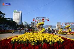 Rực rỡ đường hoa Tết Đà Nẵng