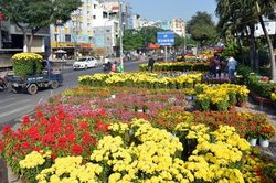 Thành phố Hồ Chí Minh 'ngập' trong sắc hoa ngày 29 Tết