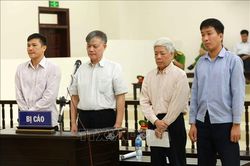 Thanh tra Chính phủ kiến nghị điều tra vụ Vinashin/SBIC gây nguy cơ thiệt hại hơn 1.000 tỷ đồng