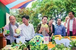 Khởi sắc vùng đất sen hồng