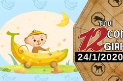 Tử vi thứ 6 ngày 24/1/2020 của 12 con giáp: Thân khởi sắc về tài chính, Tuất cần nỗ lực hết mình trong công việc