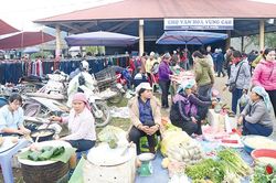 Chợ xuân nông thôn mới