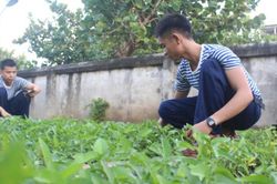 Mâm ngũ quả đặc biệt của lính Trường Sa trong ngày Tết