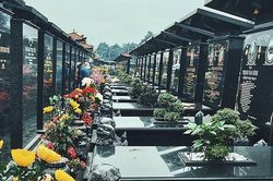 Tảo mộ ngày Tết: Những điều kiêng kỵ và những việc cần làm
