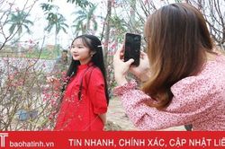 Ra phố hoa Hà Tĩnh mang Xuân về nhà