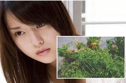 30 Tết vợ chạy vội ra chợ thì gặp chồng đang khoác tay người phụ nữ lạ tay xách con gà, vợ liền đến dúi thêm nắm lá mùi già bảo 'phiền chị dắt luôn đi giúp'