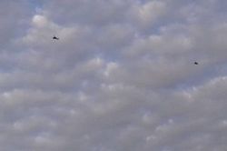 Trực thăng Apache Mỹ uy hiếp đoàn tuần tra của lính Nga tại Syria