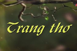 Vạch kẻ trên giấy