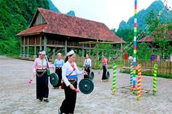 Cúc Phương xuân đang về