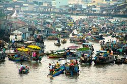 Hạt bụi nghiêng mình