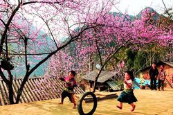 Khát vọng mùa xuân