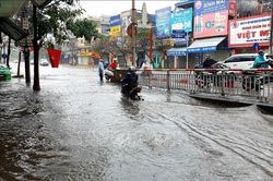 Mưa lớn ngày đầu năm, đường phố thành Nam ngập sâu
