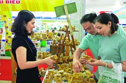 Câu chuyện khởi nghiệp: Lối đi ngay dưới chân mình