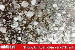 Mưa đá xuất hiện tại nhiều địa phương ở Thanh Hóa