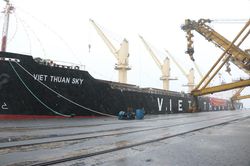 TKV: Tiêu thụ 45.000 tấn than đầu tiên trong năm Canh Tý