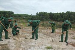 Mùa xuân là Tết trồng cây