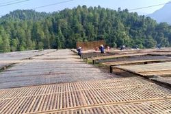 Người phụ nữ dân tộc gây dựng thương hiệu miến dong mang tên mình