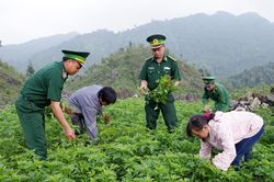 Kỳ vọng từ 'cú hích' mới