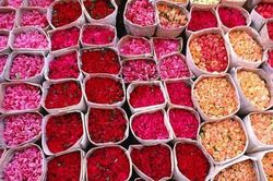 Trải nghiệm lễ hội hoa hồng, một trong những lễ hội đẹp nhất Ma-rốc
