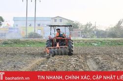 Nông dân Hà Tĩnh gieo trỉa lạc xuân 'xuyên' Tết, đạt trên 600 ha