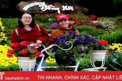 Hoa xuân Đồng Nôi rực rỡ hút khách những ngày đầu năm mới
