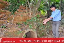 Đầu năm, thăm Di tích Hầm Tỉnh ủy