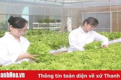 Thắp sáng khát vọng khởi nghiệp