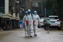 Đăng tin có người chết vì virus corona, trang Singapore phải gỡ bài
