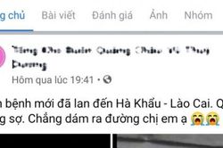 Lào Cai: Yêu cầu 2 cá nhân gỡ thông tin không đúng sự thật về dịch cúm do virus Corona