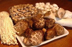 Ăn uống thông minh trong ngày tết