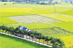 Long An xây dựng nông thôn mới với khí thế mới