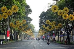 Đổi mới tư duy