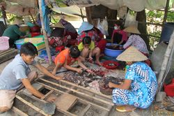 Năm Canh Tý ghé thăm chợ chuột đồng Phù Dật ở An Giang