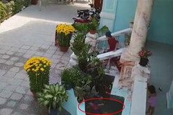 Nhờ chị gái nói: 'Mẹ ơi em bơi bơi như chó', bé trai may mắn thoát chết