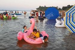 3 ngày Tết, bãi cồn Long Khánh đón trên 15 ngàn lượt khách