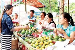 Kbang: Tập trung đầu tư để phát triển bền vững