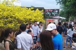 Nhộn nhịp người đến check-in 'cụ mai' tại Đồng Nai