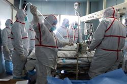 Khách du lịch từ Vũ Hán bị từ chối nhập cảnh vào Việt Nam